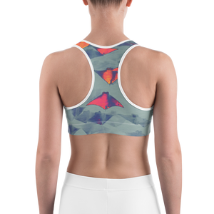 Stingray workout bra